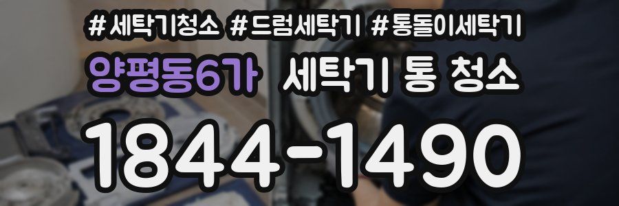양평동6가 세탁기 통 청소