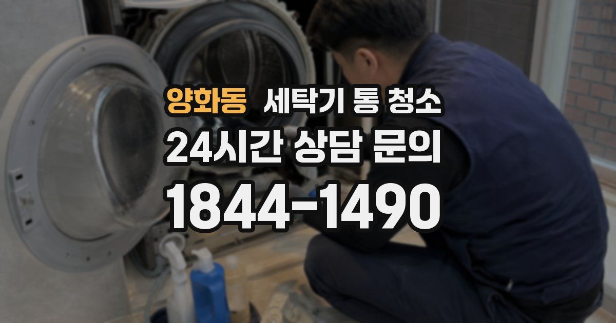 양화동 세탁기 통 청소