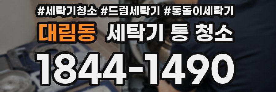 대림동 세탁기 통 청소
