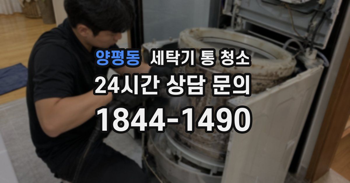 양평동 세탁기 통 청소