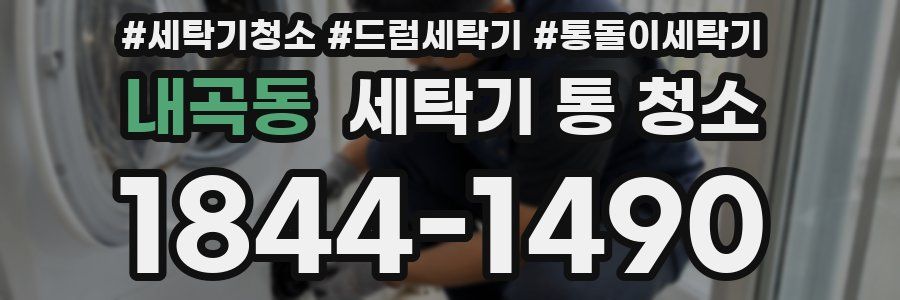 내곡동 세탁기 통 청소