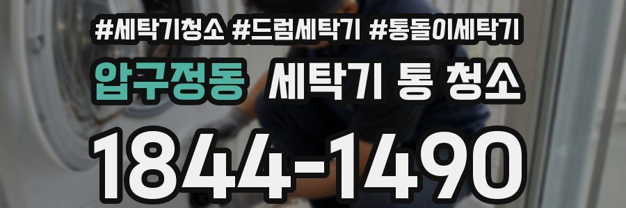 압구정동 세탁기 통 청소