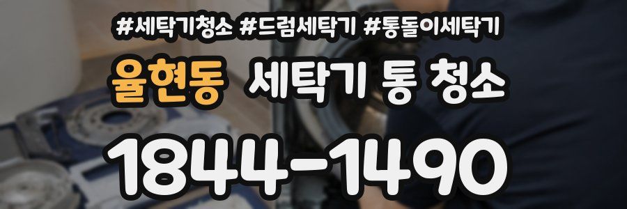 율현동 세탁기 통 청소