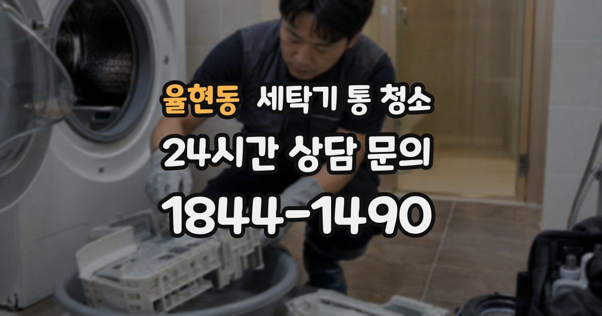 율현동 세탁기 통 청소