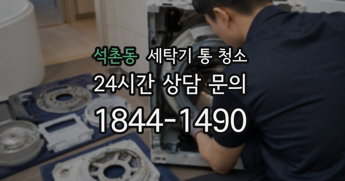 석촌동 세탁기 통 청소