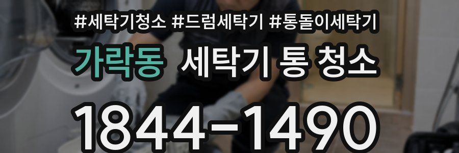 가락동 세탁기 통 청소