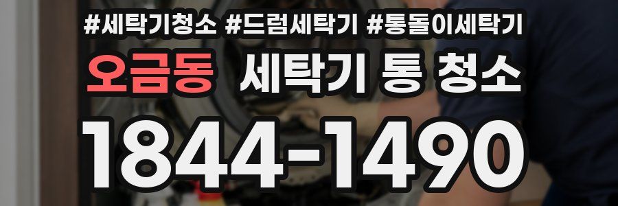 오금동 세탁기 통 청소