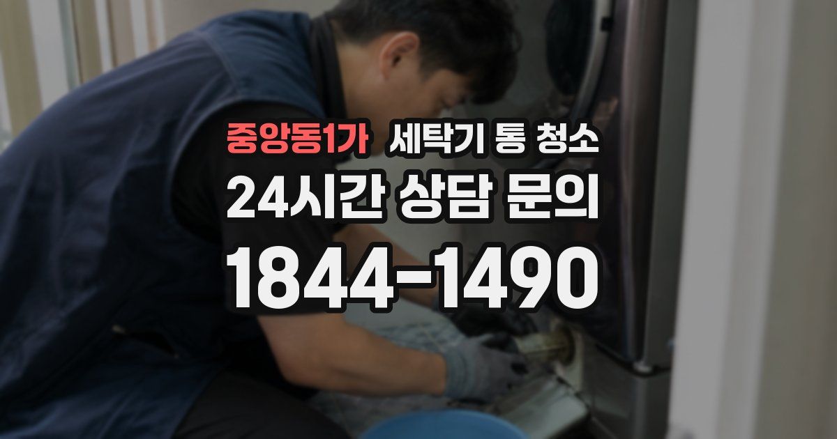 중앙동1가 세탁기 통 청소