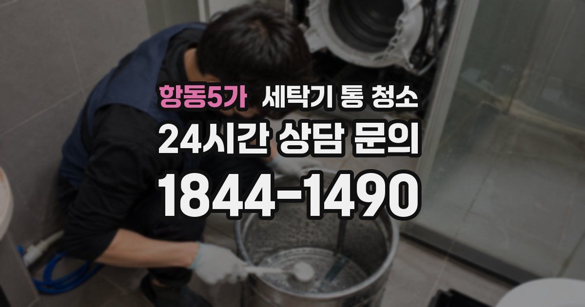 항동5가 세탁기 통 청소
