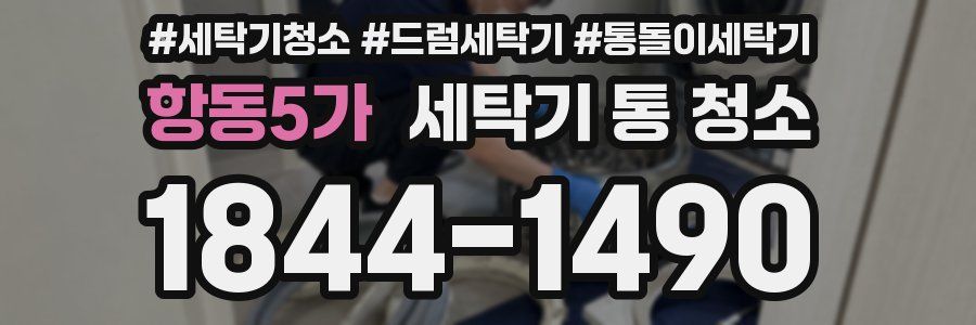 항동5가 세탁기 통 청소