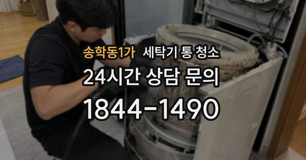 송학동1가 세탁기 통 청소