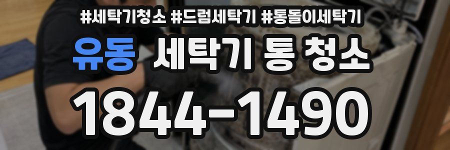 유동 세탁기 통 청소