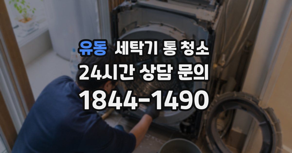 유동 세탁기 통 청소