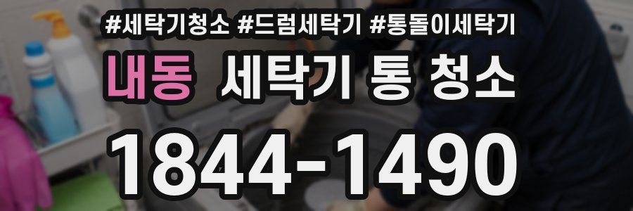 내동 세탁기 통 청소