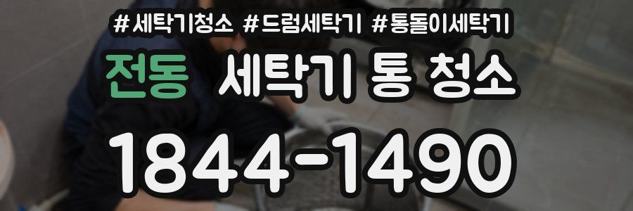 전동 세탁기 통 청소