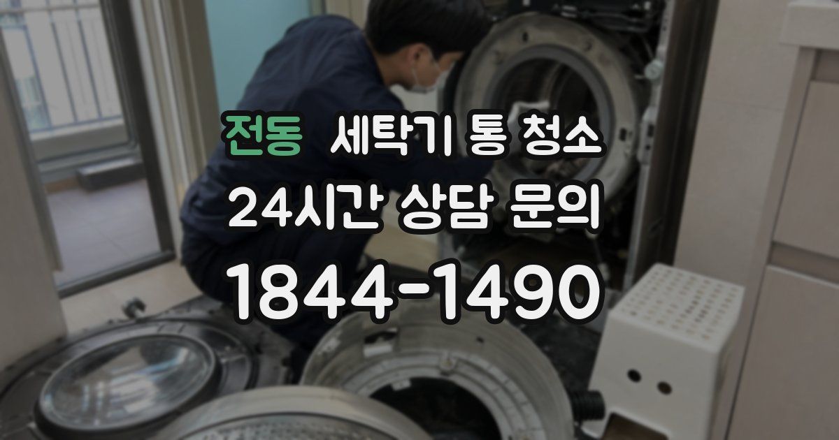 전동 세탁기 통 청소
