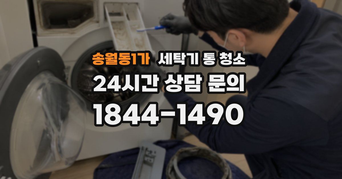 송월동1가 세탁기 통 청소