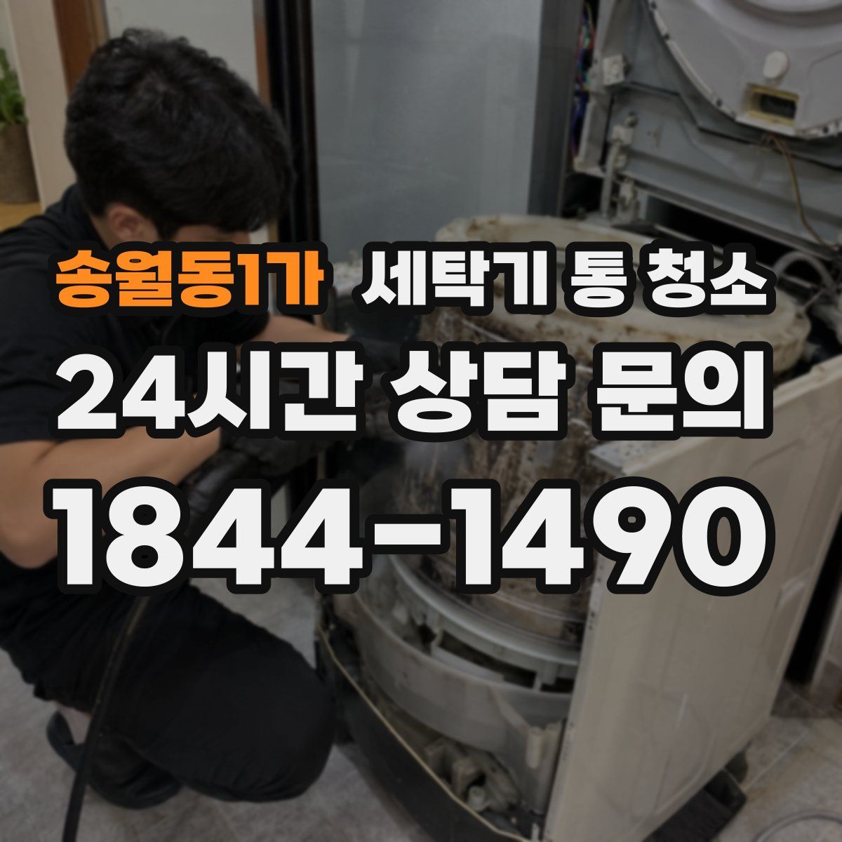 송월동1가 세탁기 통 청소