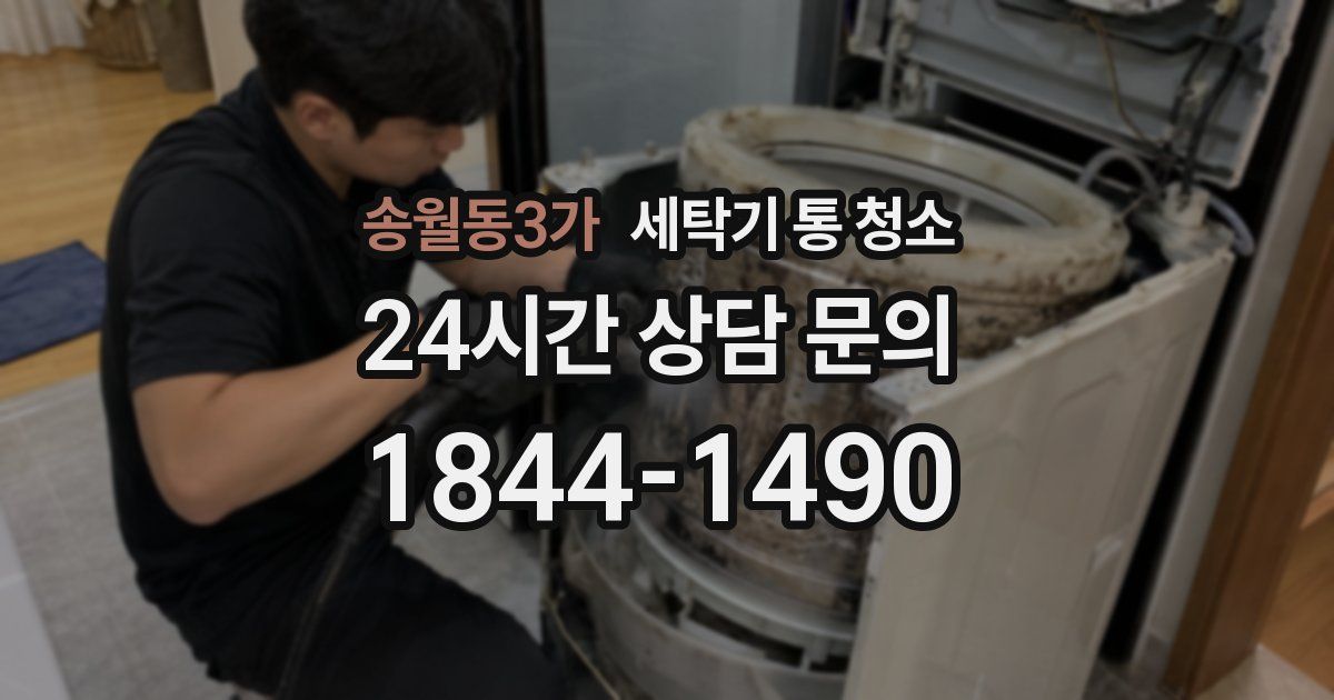 송월동3가 세탁기 통 청소
