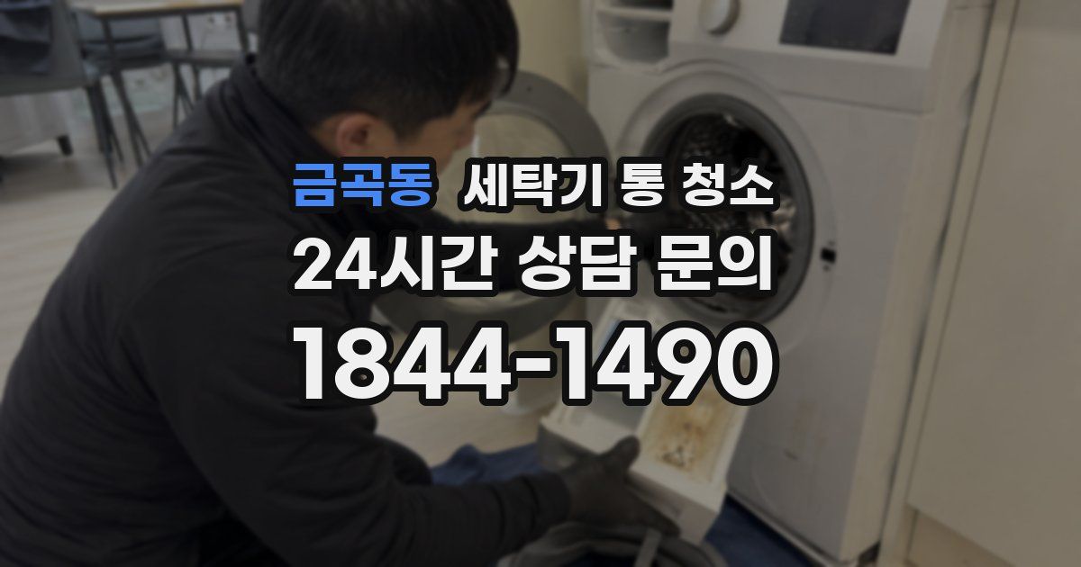 금곡동 세탁기 통 청소