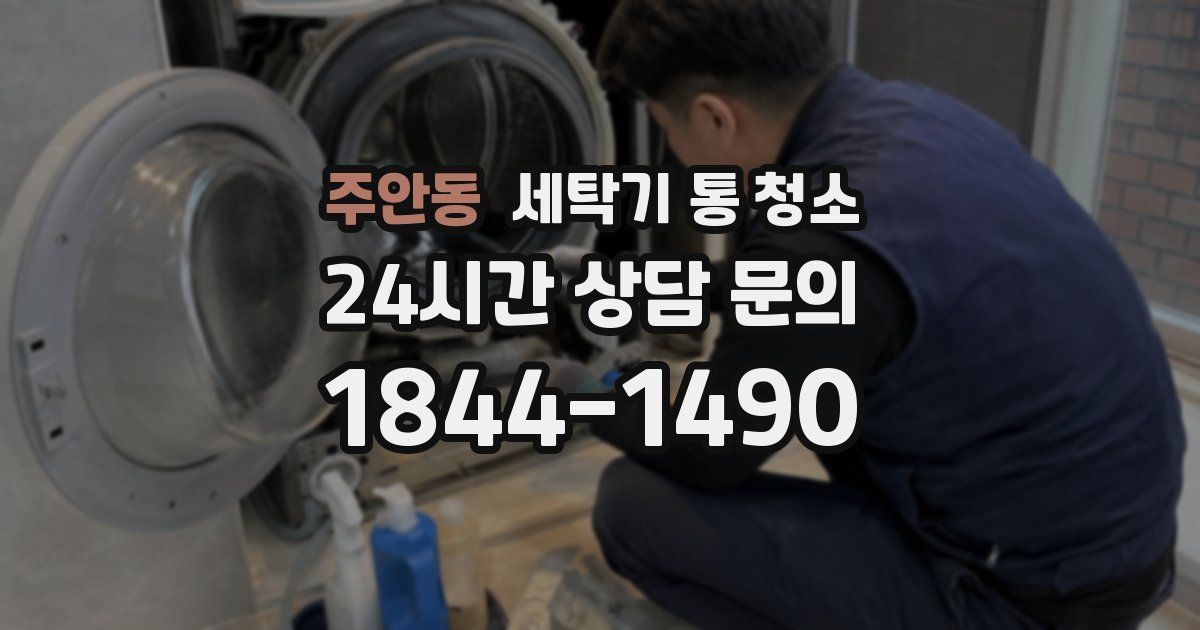 주안동 세탁기 통 청소