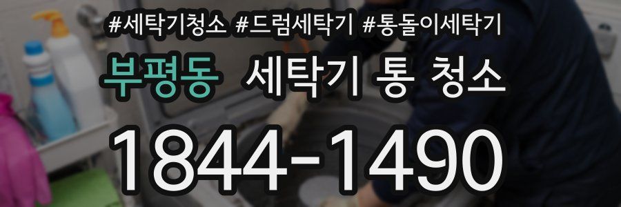 부평동 세탁기 통 청소