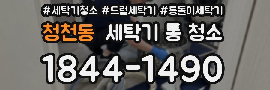 청천동 세탁기 통 청소