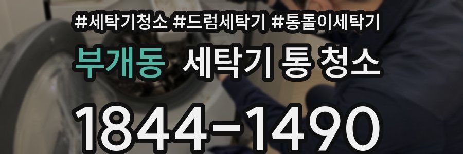 부개동 세탁기 통 청소