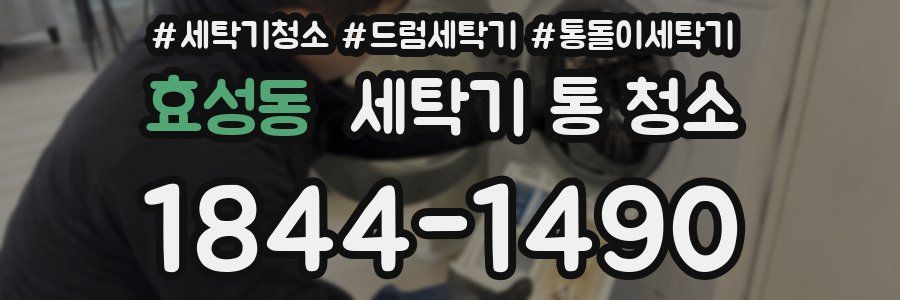 효성동 세탁기 통 청소