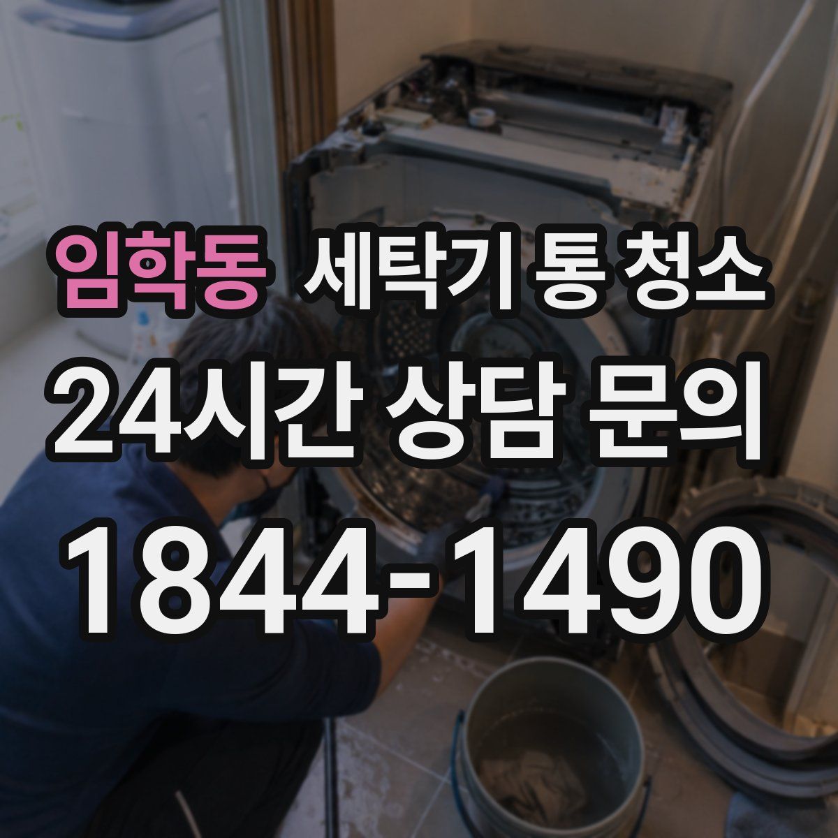 임학동 세탁기 통 청소