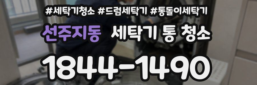 선주지동 세탁기 통 청소