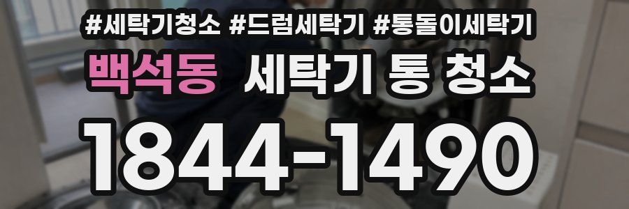 백석동 세탁기 통 청소