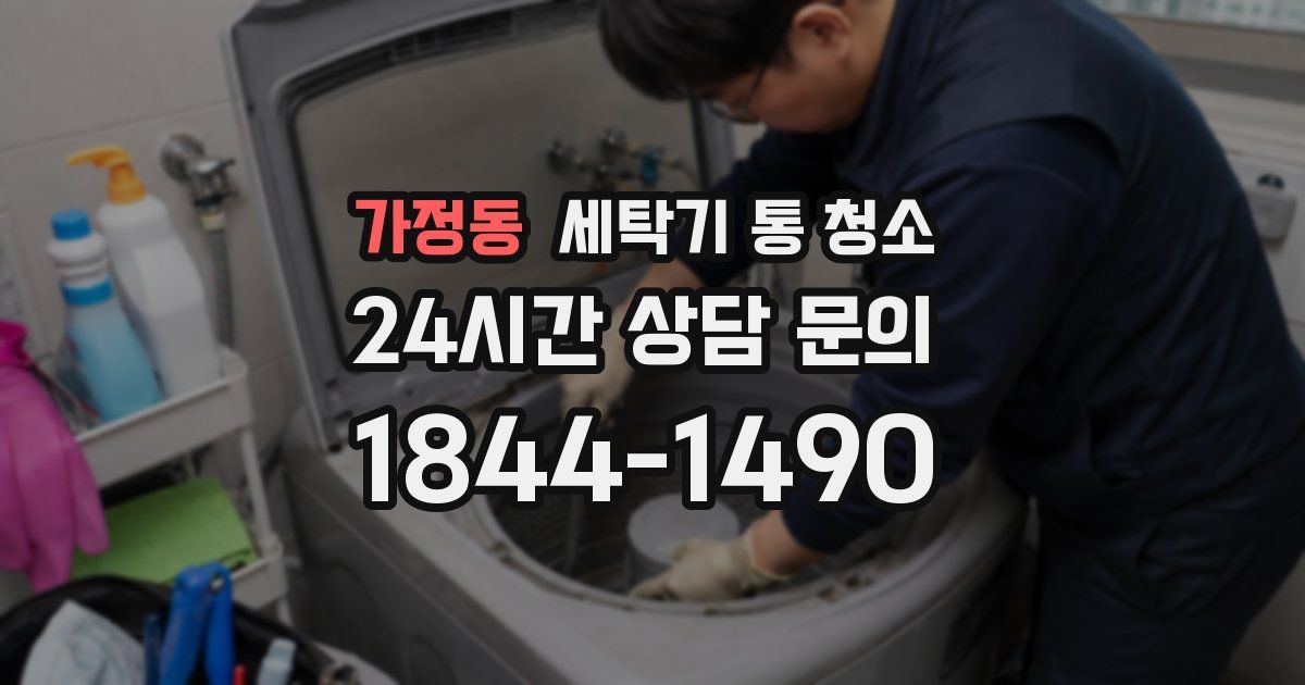 가정동 세탁기 통 청소
