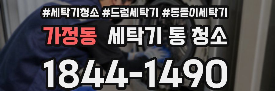 가정동 세탁기 통 청소