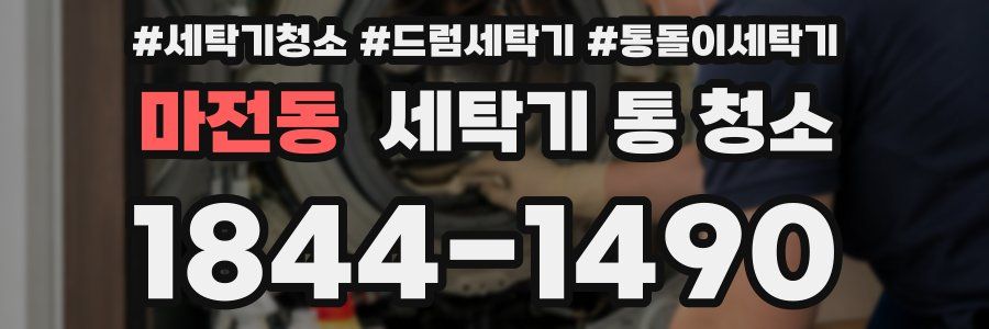 마전동 세탁기 통 청소