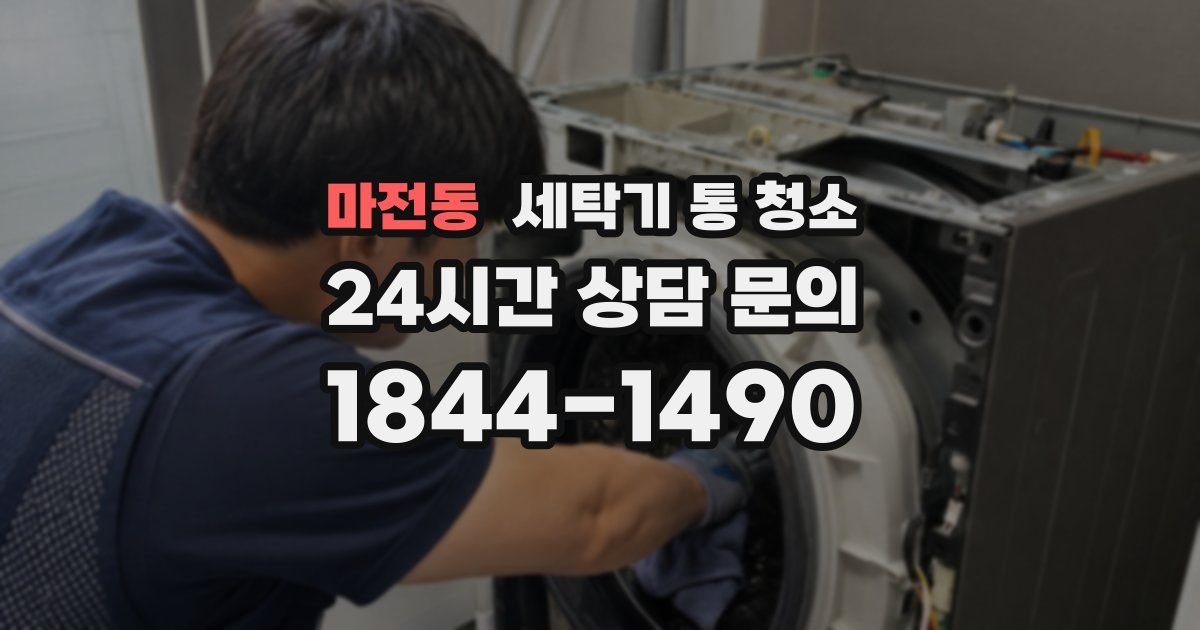마전동 세탁기 통 청소