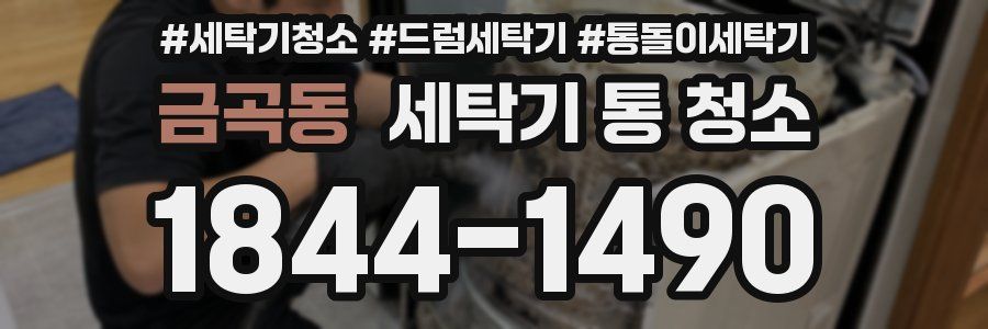 금곡동 세탁기 통 청소