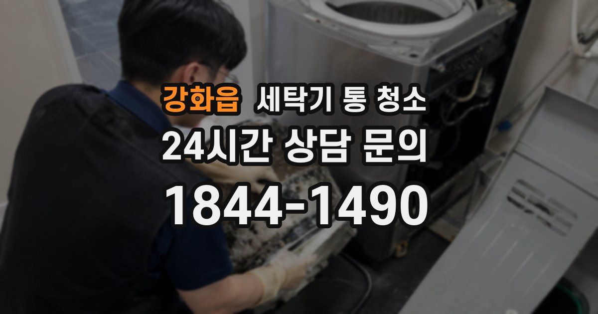 강화읍 세탁기 통 청소