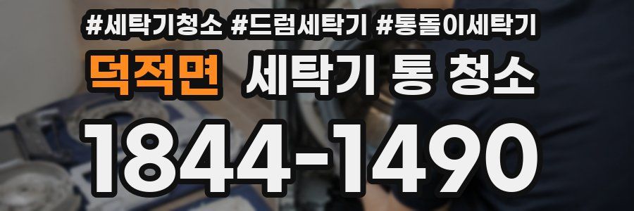 덕적면 세탁기 통 청소