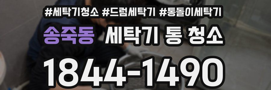 송죽동 세탁기 통 청소