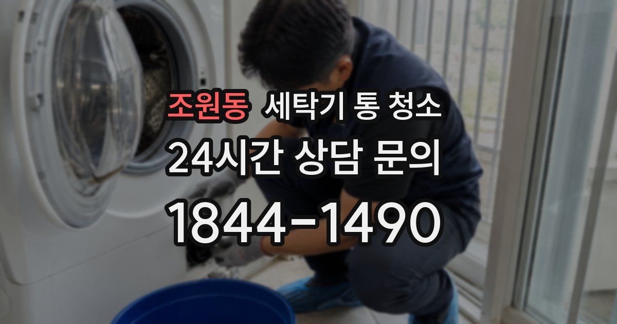 조원동 세탁기 통 청소