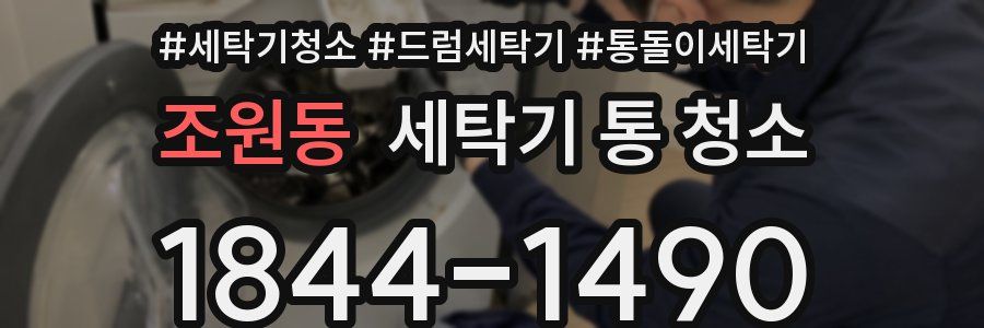 조원동 세탁기 통 청소