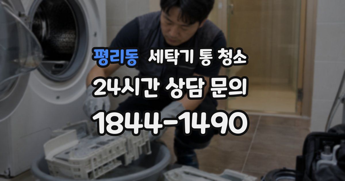 평리동 세탁기 통 청소
