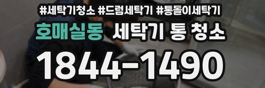 호매실동 세탁기 통 청소