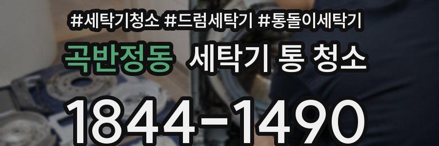 곡반정동 세탁기 통 청소