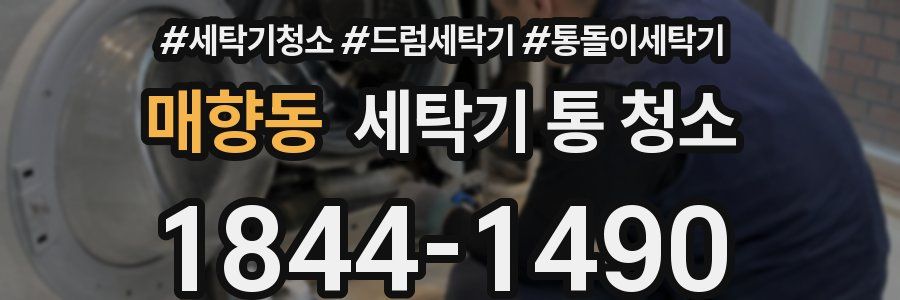 매향동 세탁기 통 청소