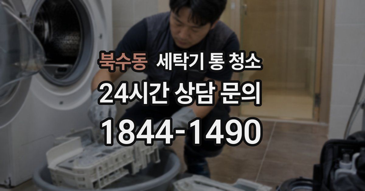 북수동 세탁기 통 청소