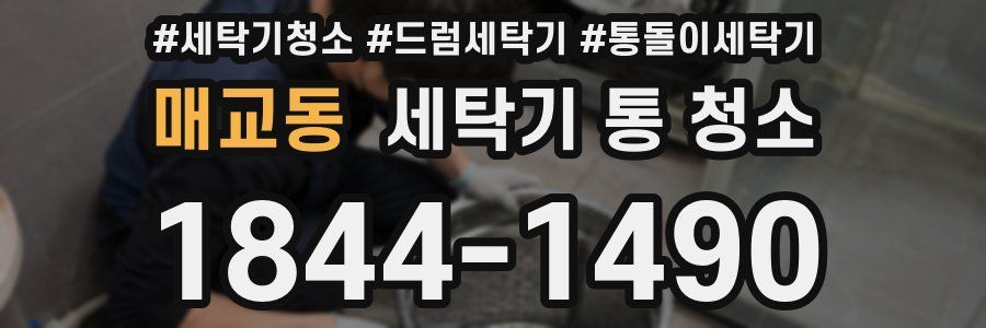 매교동 세탁기 통 청소