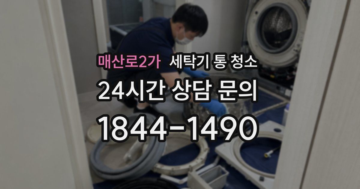 매산로2가 세탁기 통 청소