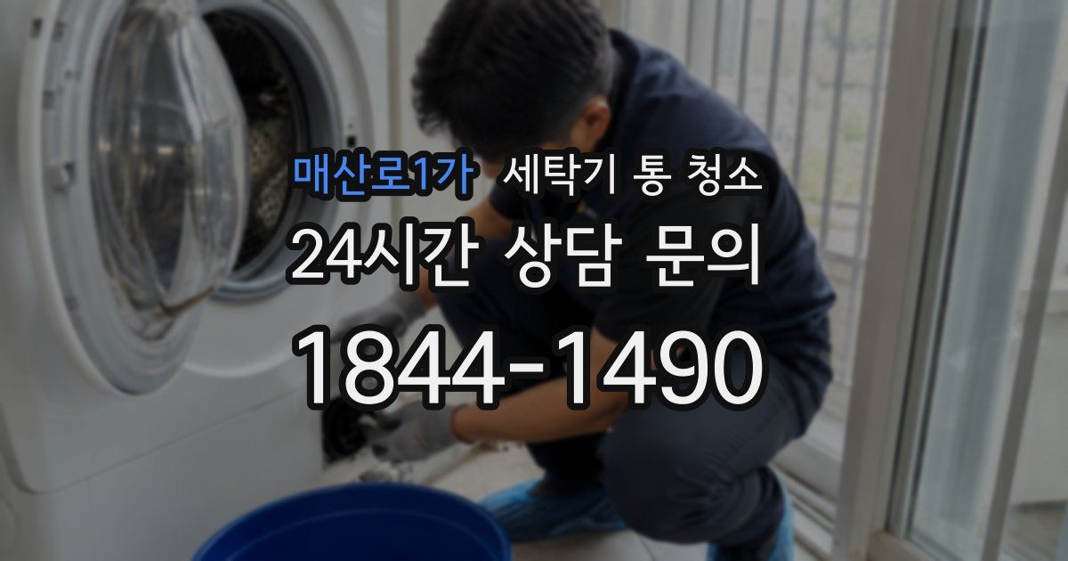 매산로1가 세탁기 통 청소